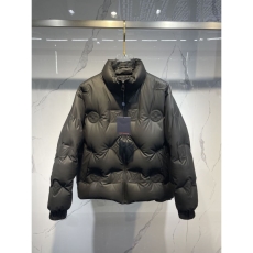 Louis Vuitton Down Jackets